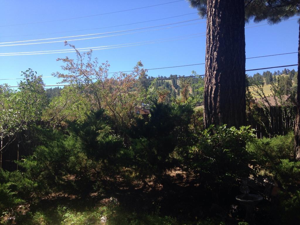 Switzerland Haus Bed And Breakfast Inn Lac Big Bear Extérieur photo
